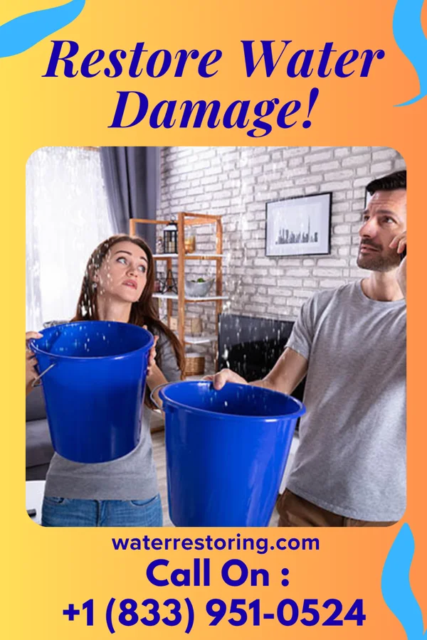 water restoration Ideal Cleanup Experts Moscow