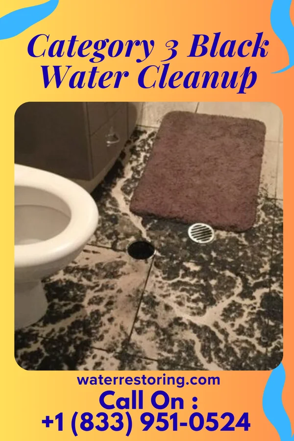 Category 3 Black Water Cleanup in Moscow, OH