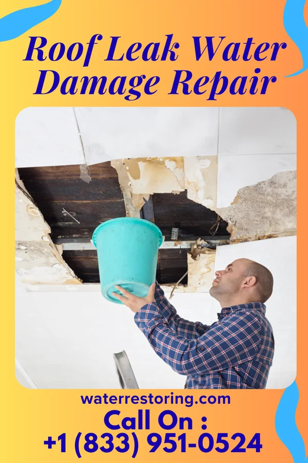 Roof Leak Water Damage Repair in Moscow, OH