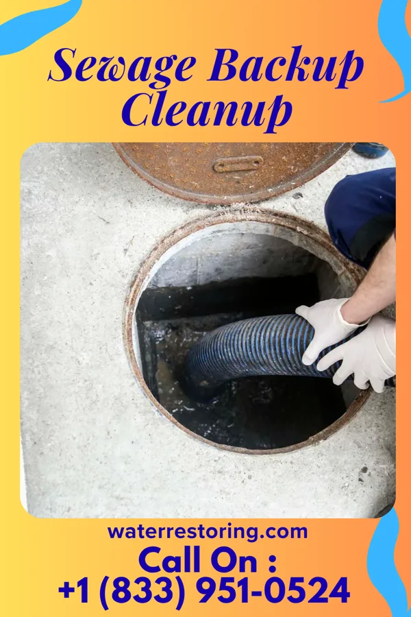 Sewage Backup Cleanup in Moscow, OH